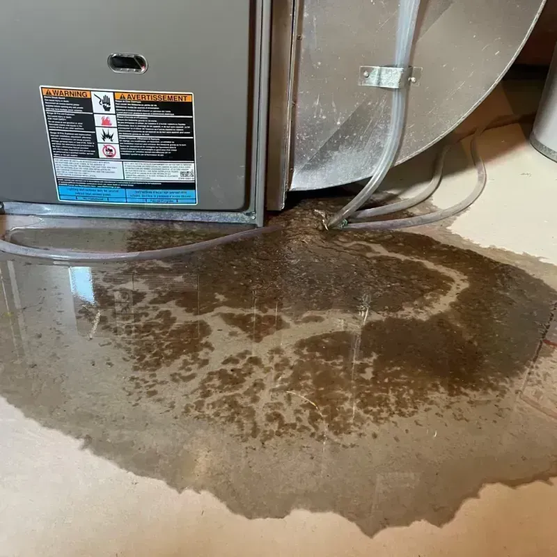 Appliance Leak Cleanup in Saint George, MO